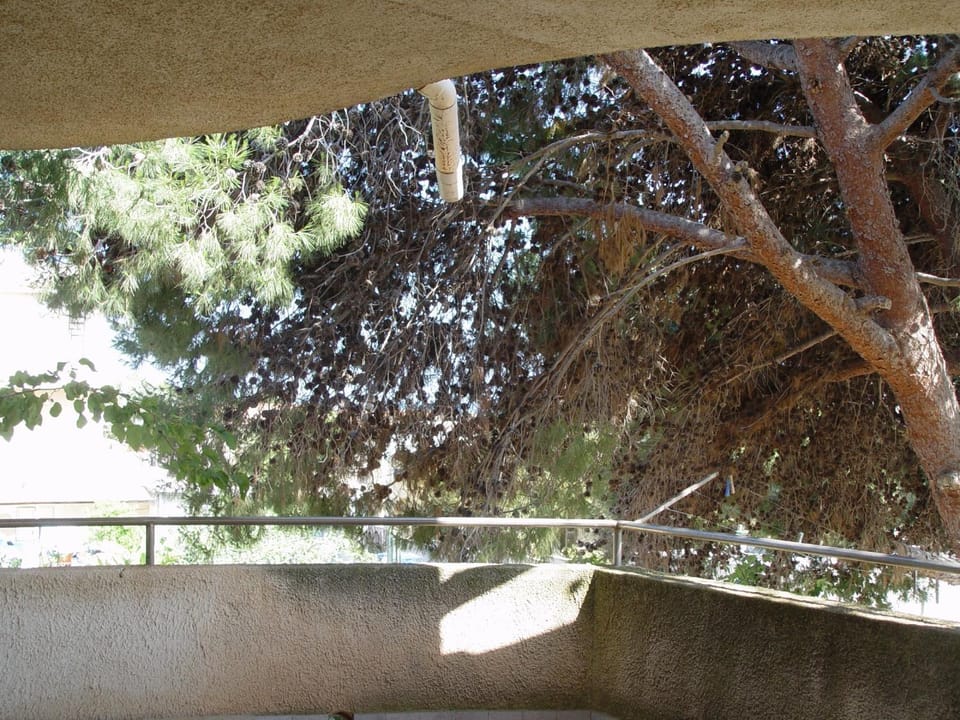 Natural landscape, View (from property/room), Balcony/Terrace