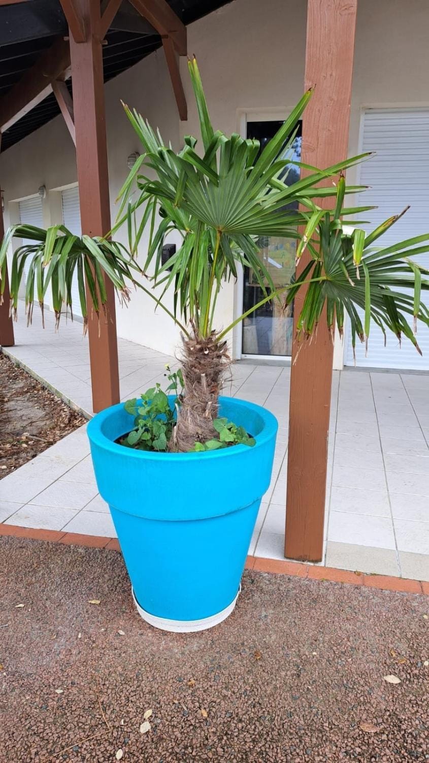 L'airial de Laure Apartment in Ondres