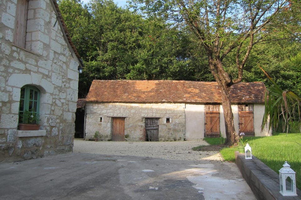 Patio, Garden, Garden view