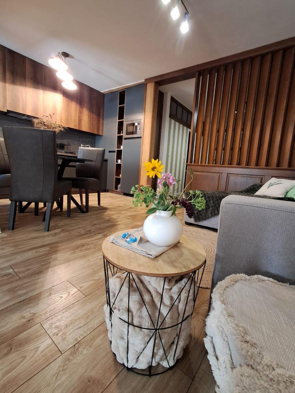 Living room, kitchen