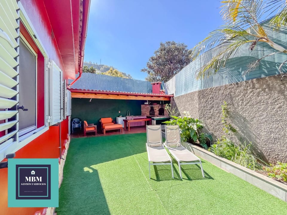 Garden, Garden view, sunbed