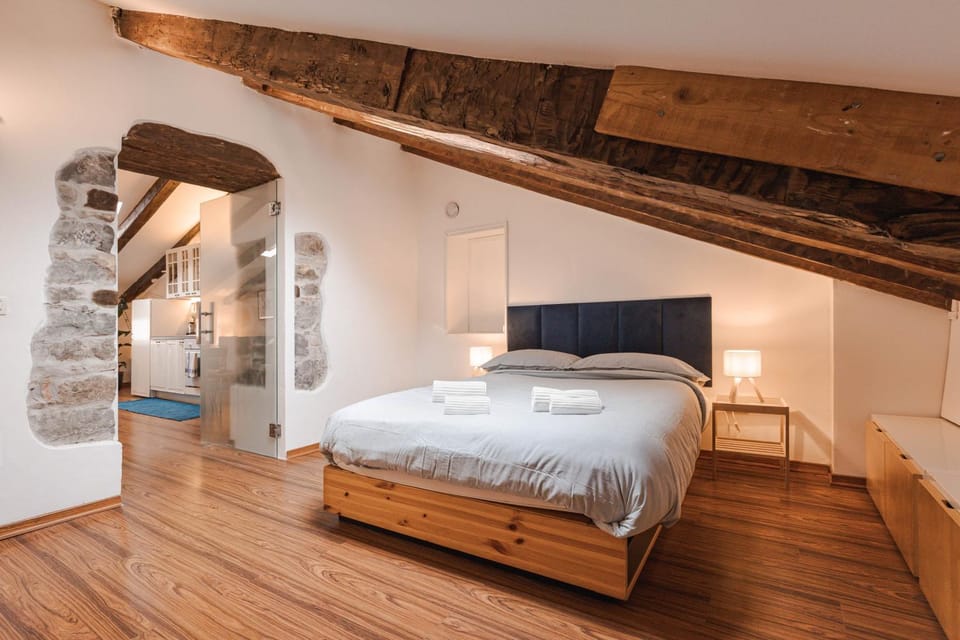 Ampio loft confortevole nel cuore di Trieste Apartment in Trieste