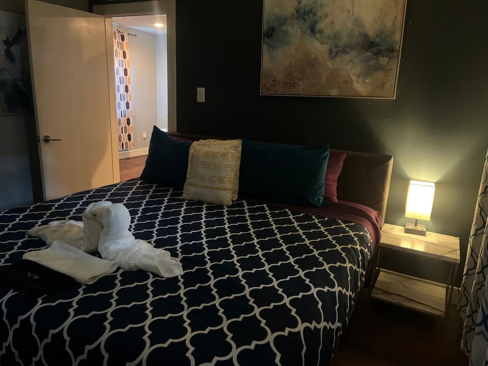 Chic & Cozy 1-bedroom Apartment with Free Parking Apartment in Houston