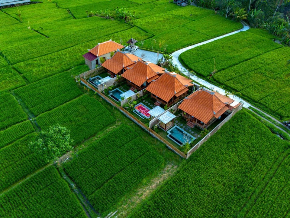Property building, Spring, Day, Natural landscape, Bird's eye view, Garden, Garden view
