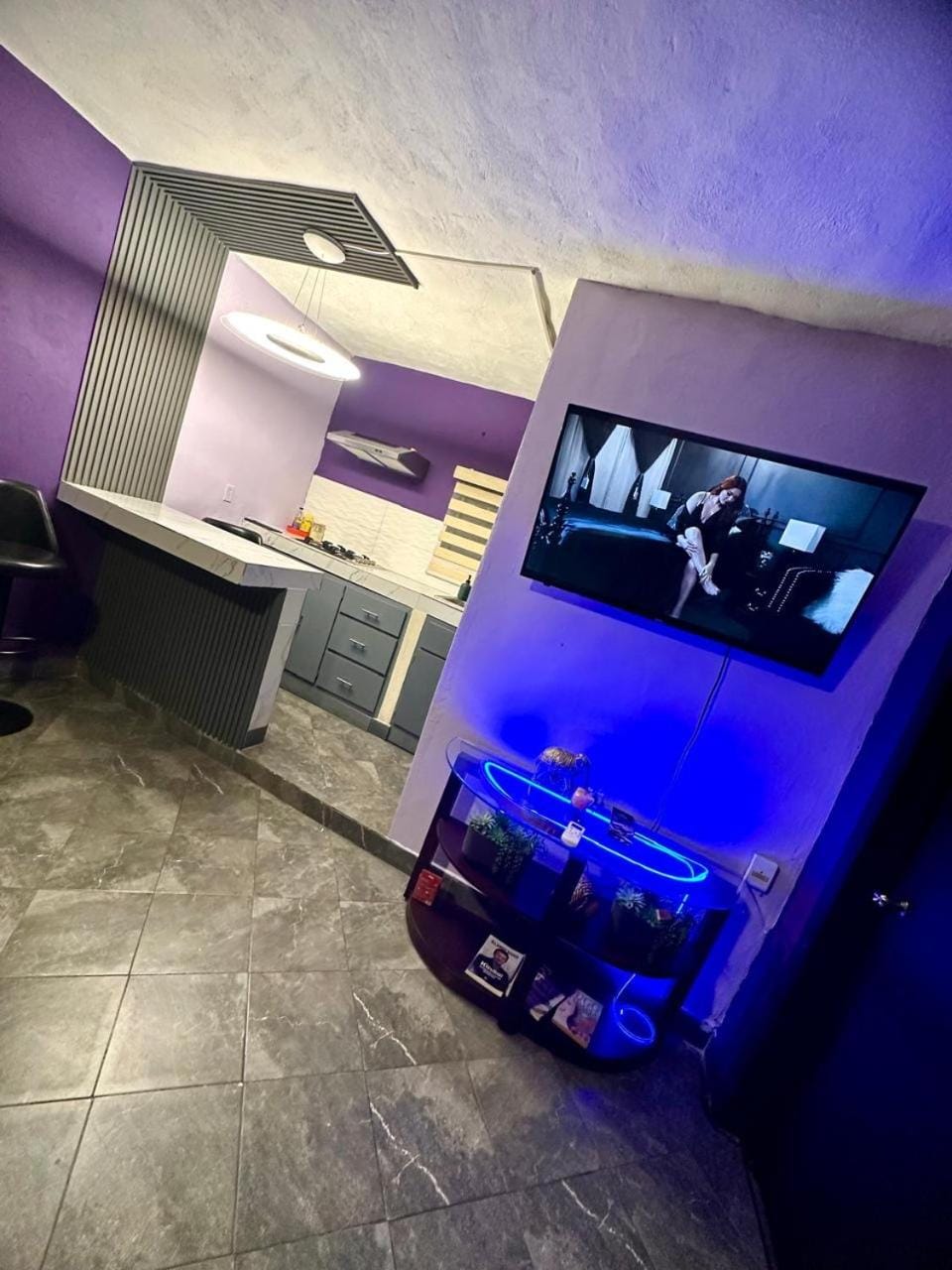 TV and multimedia, minibar, pet friendly