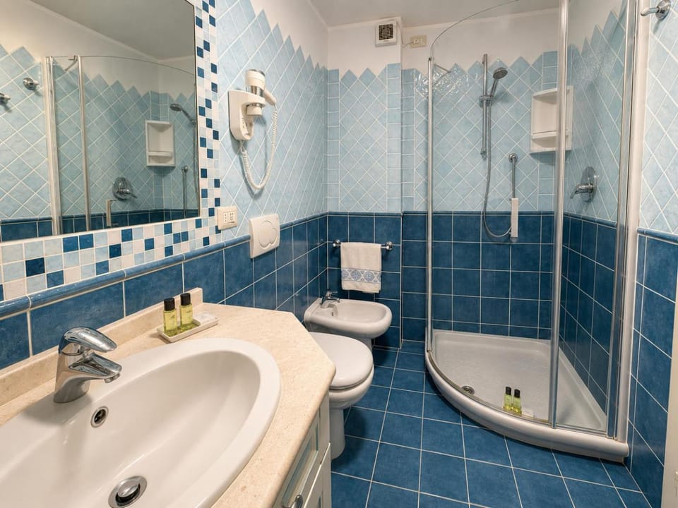 Shower, Toilet, Bathroom, bidet