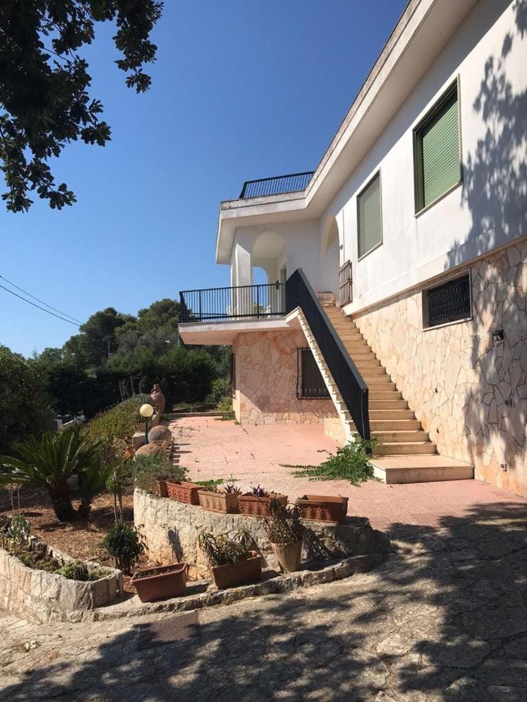 Property building, Garden view