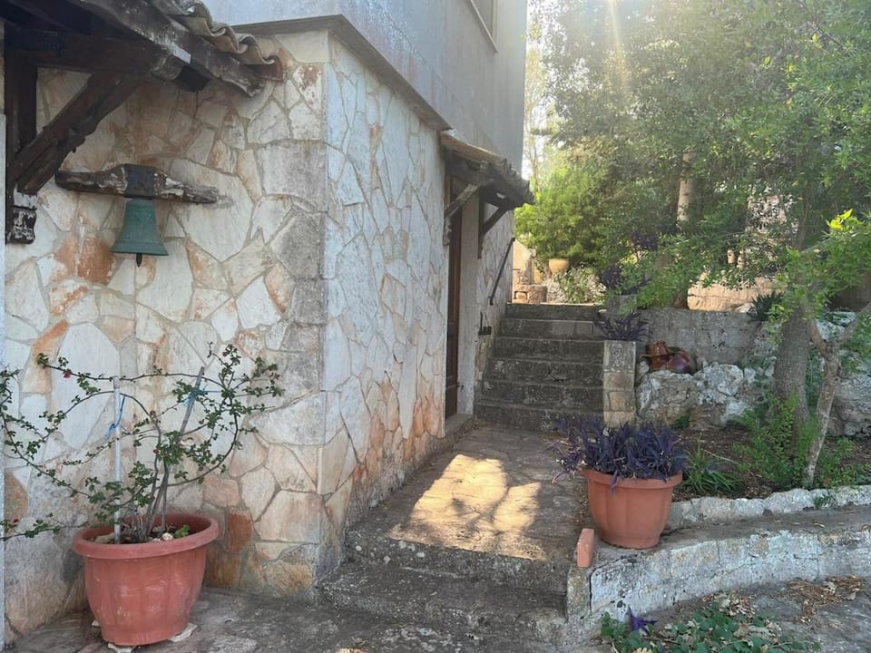 Property building, Garden