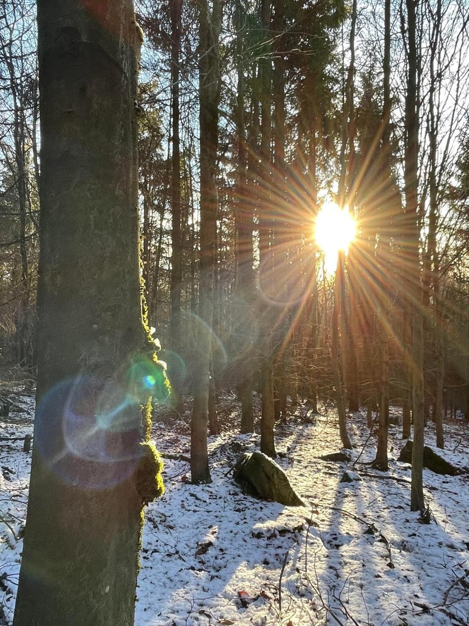 Natural landscape, Winter