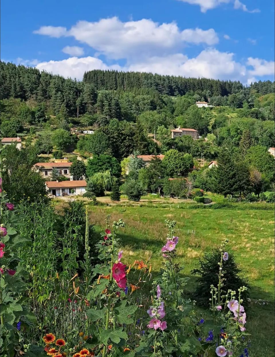 Domaine privé dans les bois House in Auvergne-Rhône-Alpes