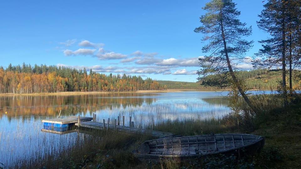 The Loft into the wild Chalet in Norrbotten County, Sweden