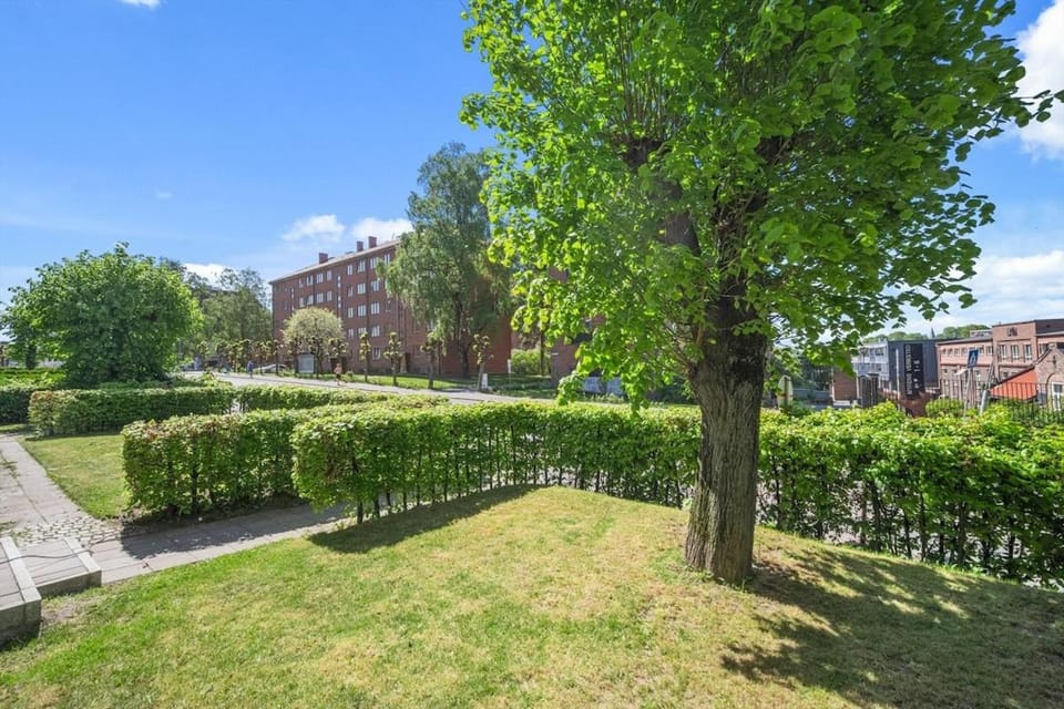 Garden view