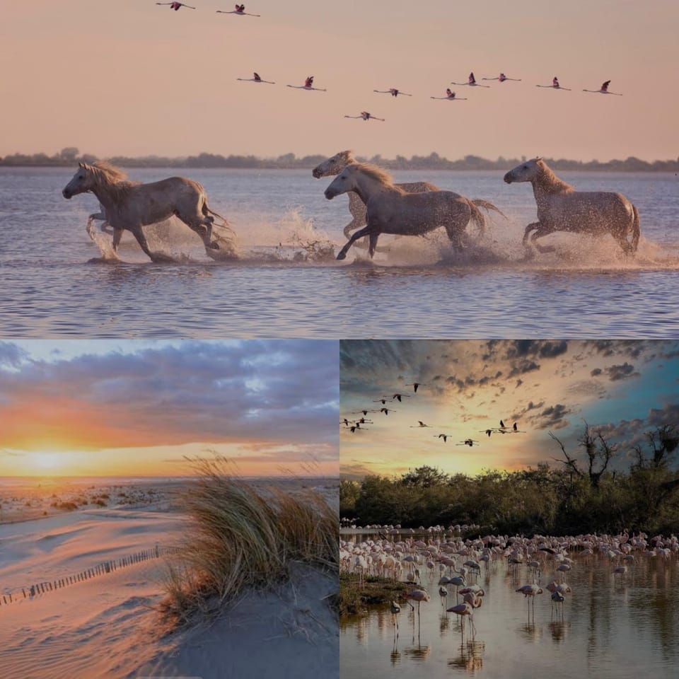 Natural landscape