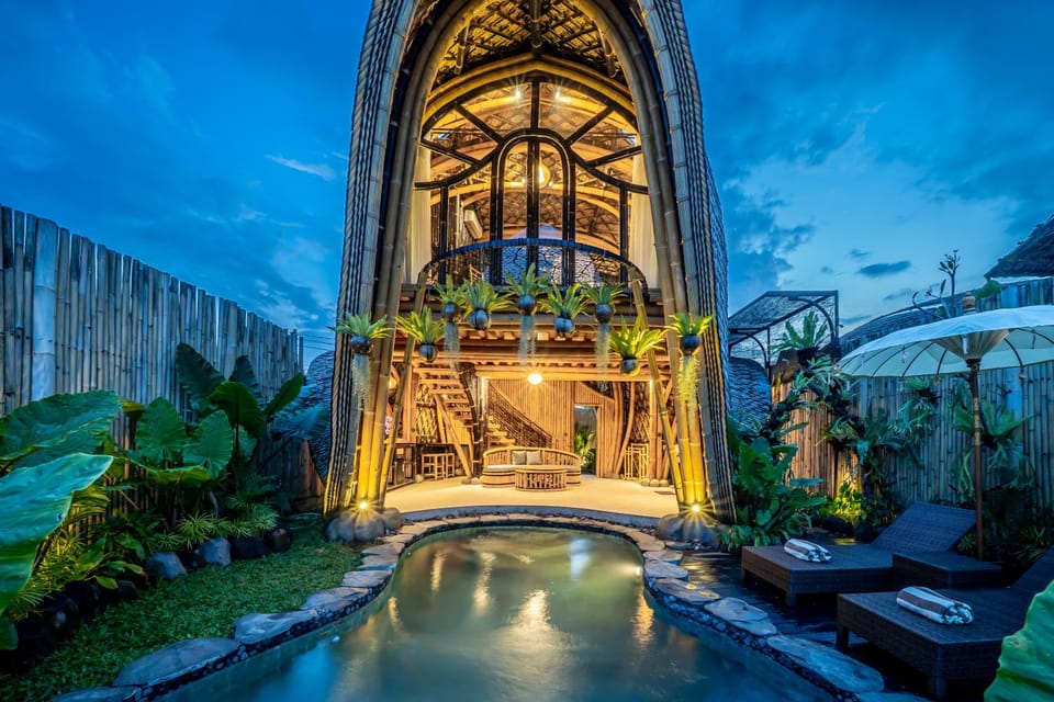 Night, Garden, Swimming pool