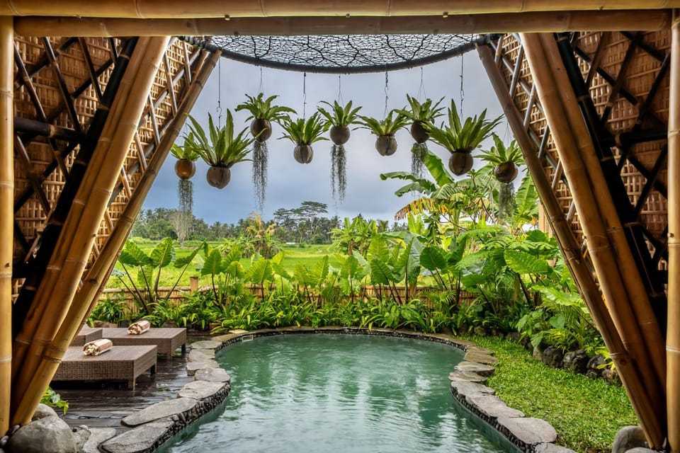 Natural landscape, Garden view, Pool view, Swimming pool