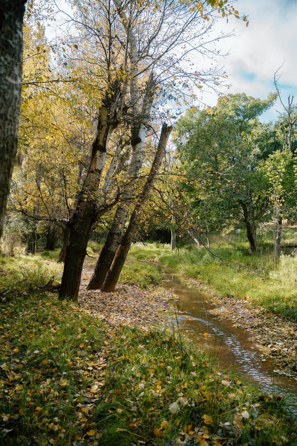 Little Nyati farmstay Campground/ 
RV Resort in Eastern Cape