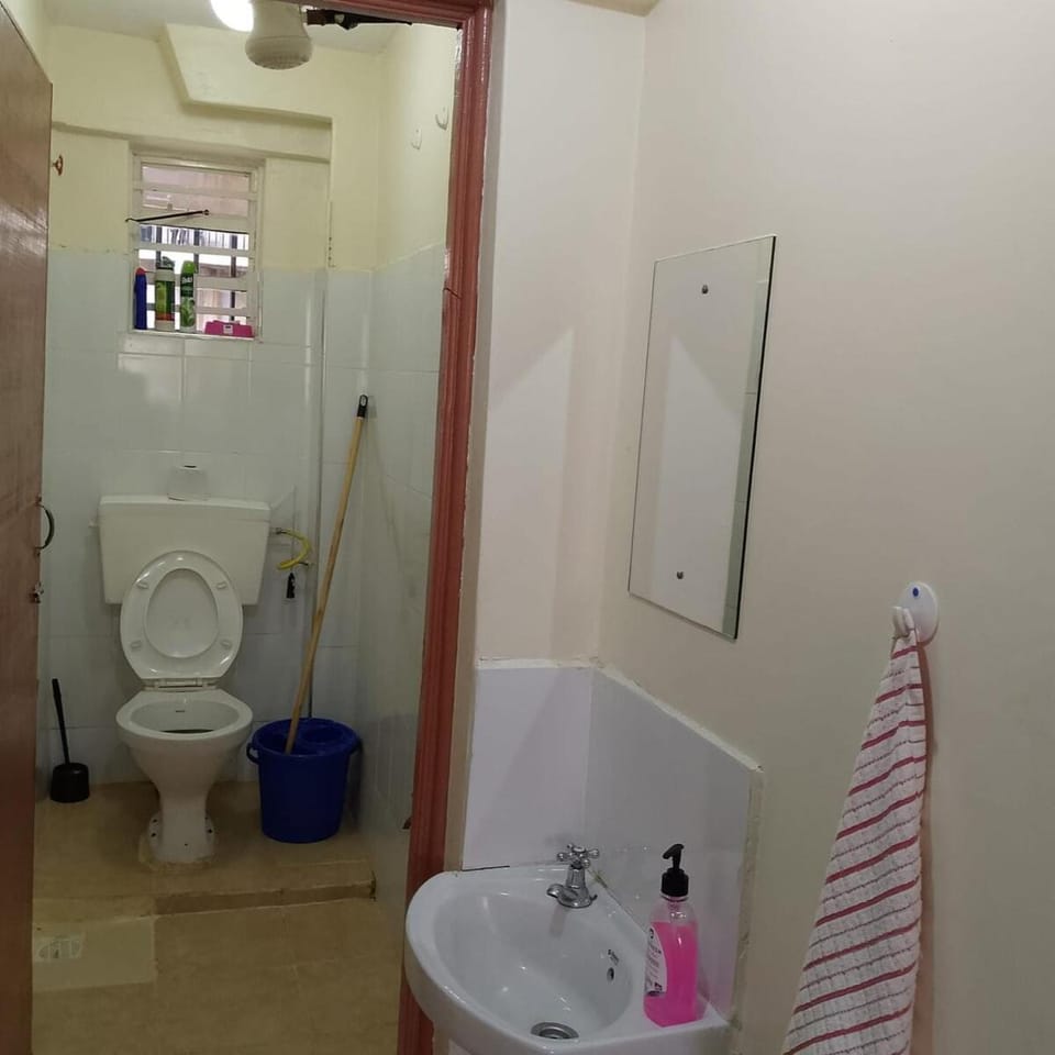 Pretty Fly Apartment in Kenya