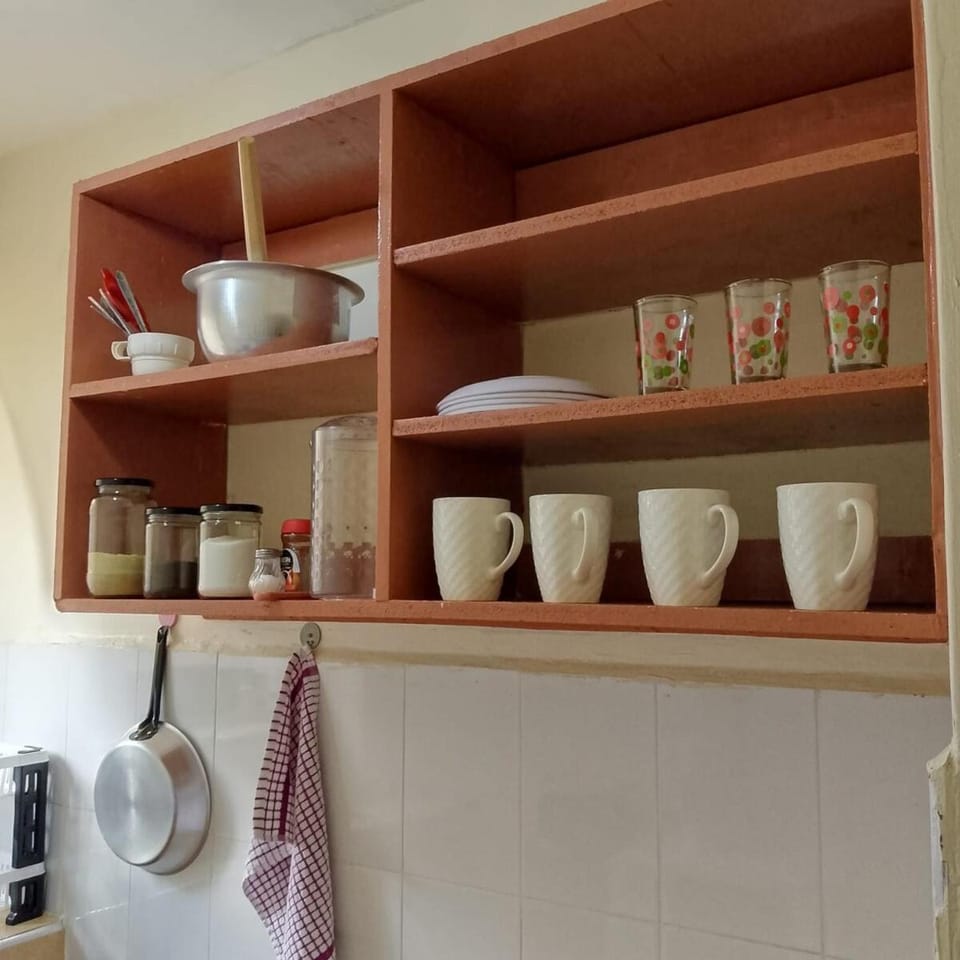 Pretty Fly Apartment in Kenya