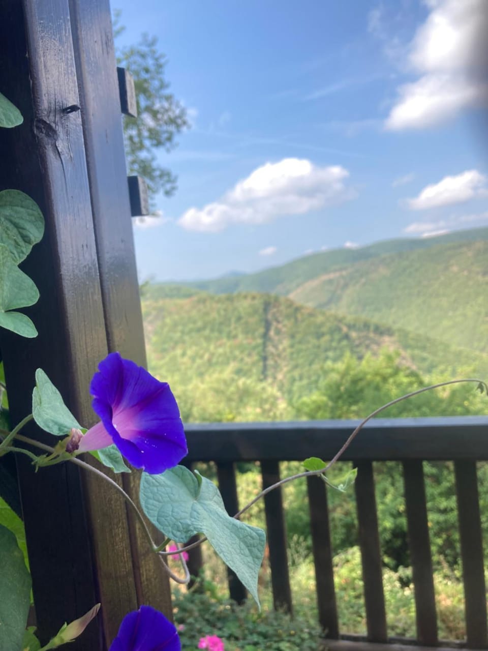 Agriturismo Becerca Vegan Farm Stay in Umbria