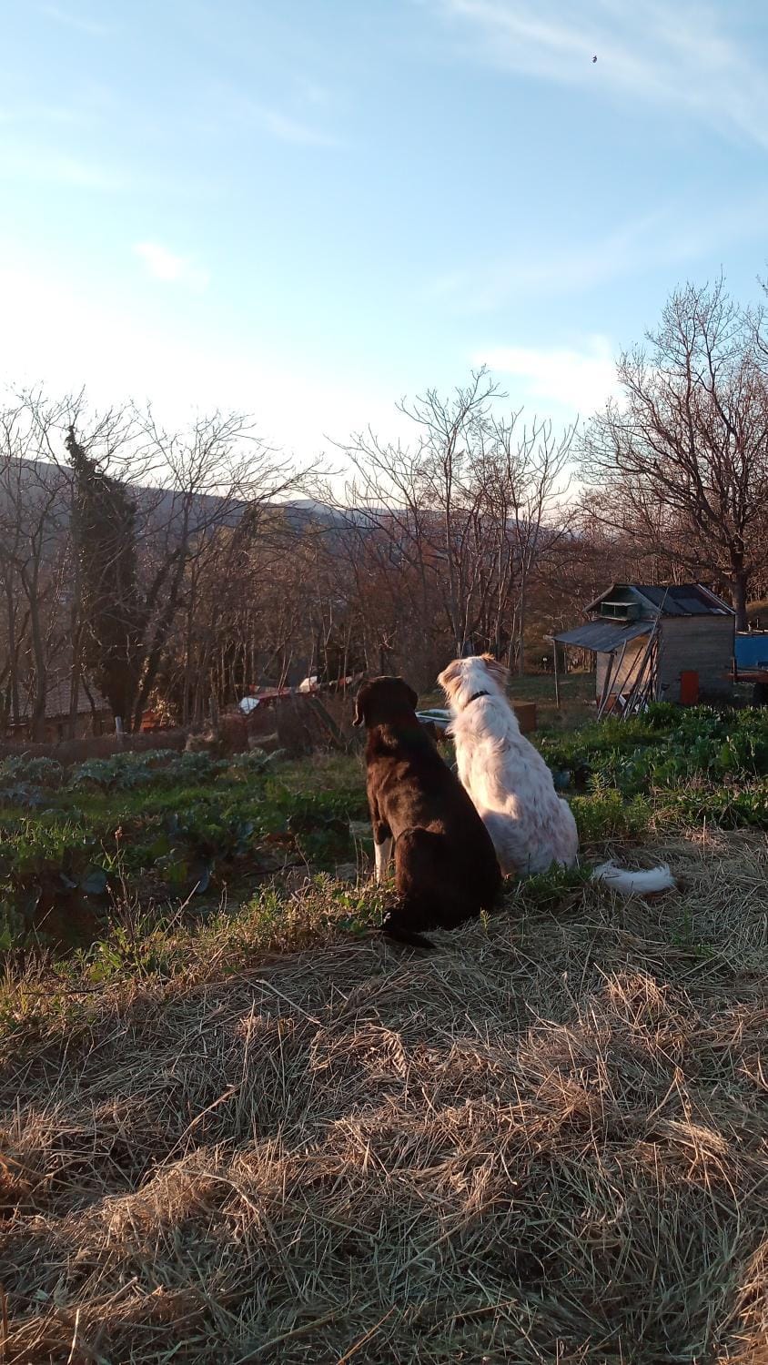 Agriturismo Becerca Vegan Farm Stay in Umbria