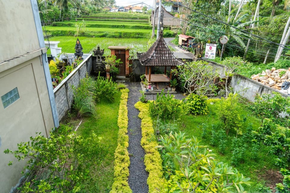Day, Garden, Garden view