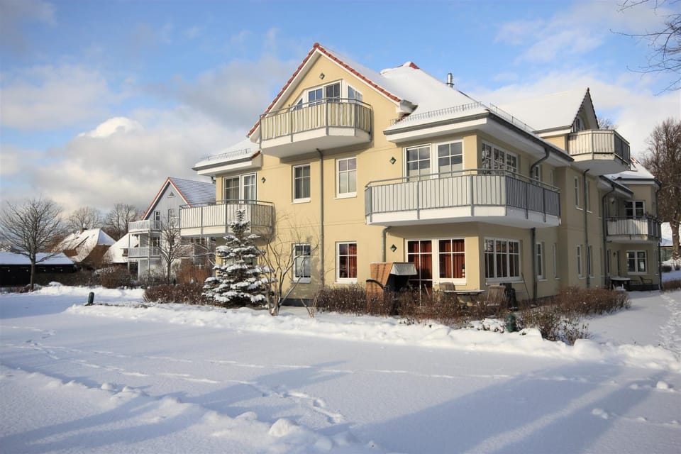 Property building, Winter