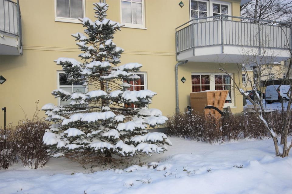 Property building, Winter