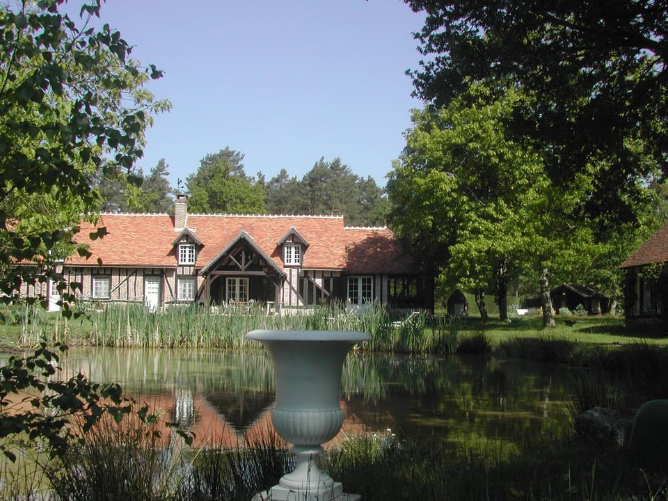 Lake view