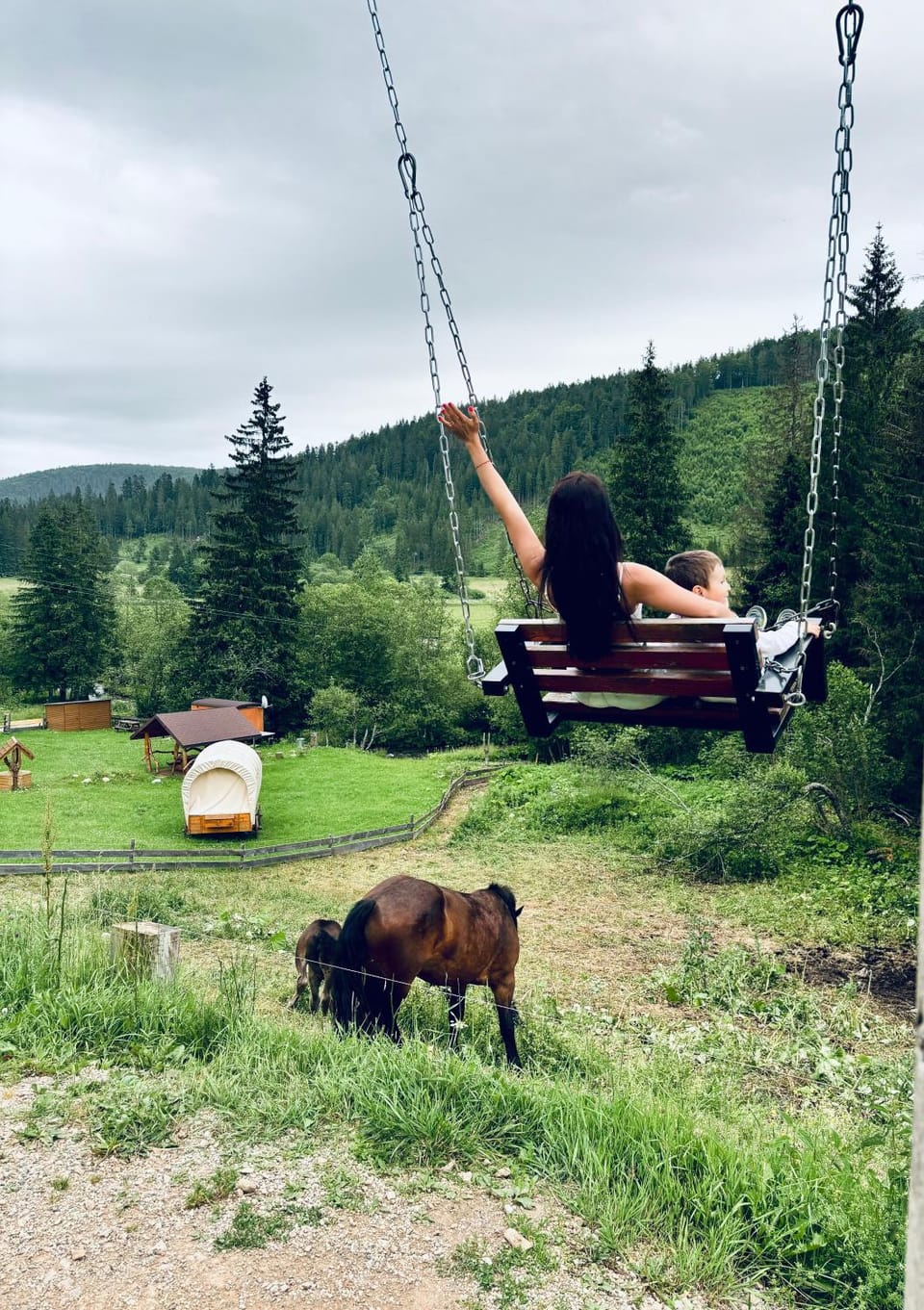 Garden, Horse-riding, Animals, Entertainment