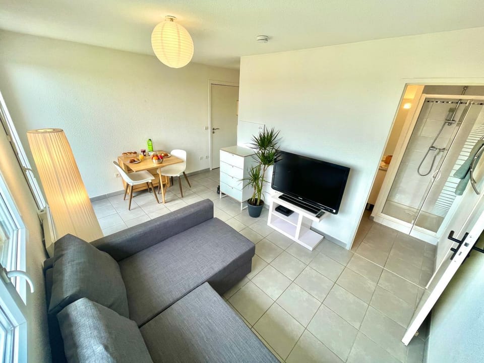 Communal lounge/ TV room, TV and multimedia, Living room