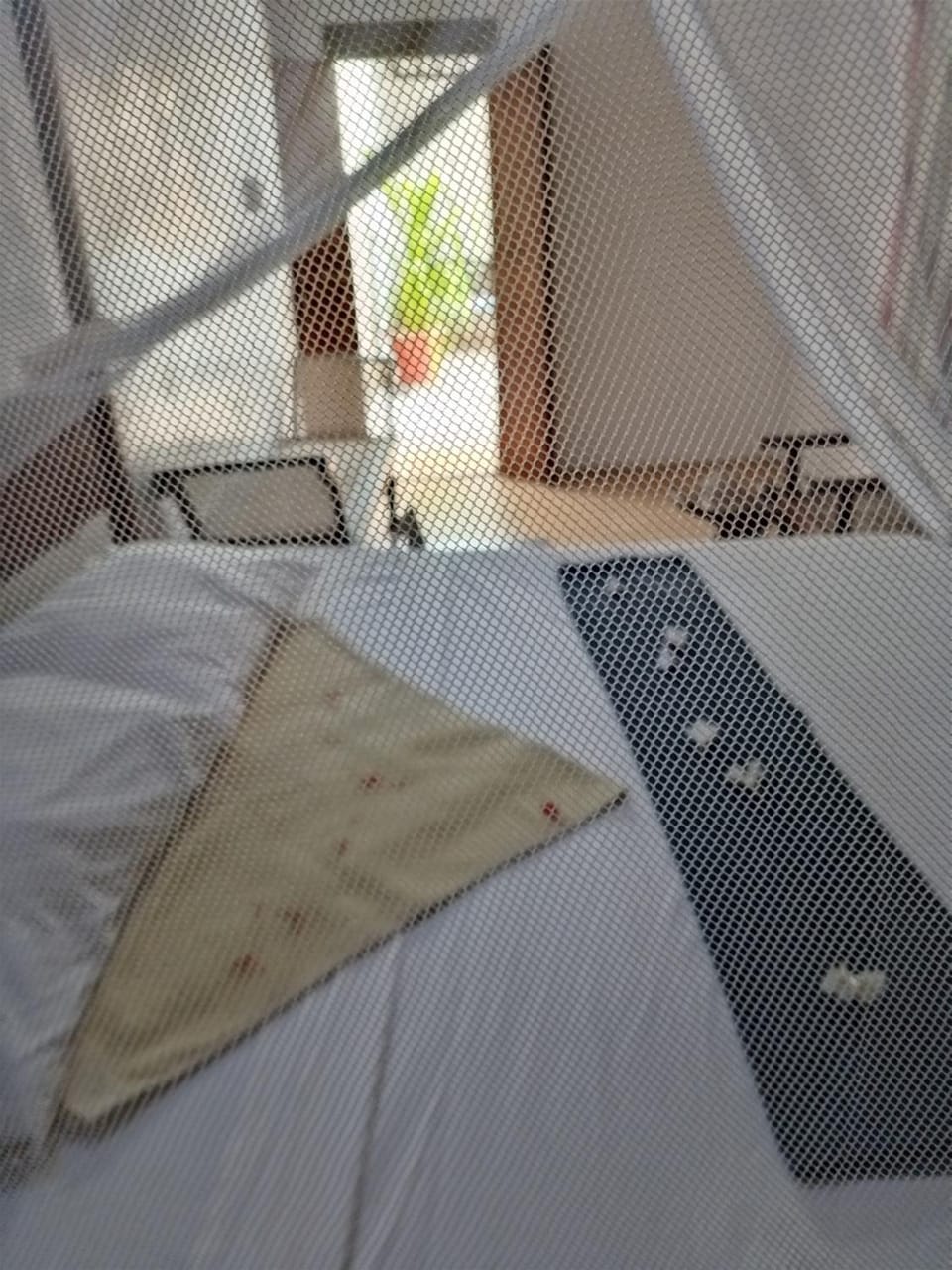 Ajooba Bed and Breakfast in Lamu
