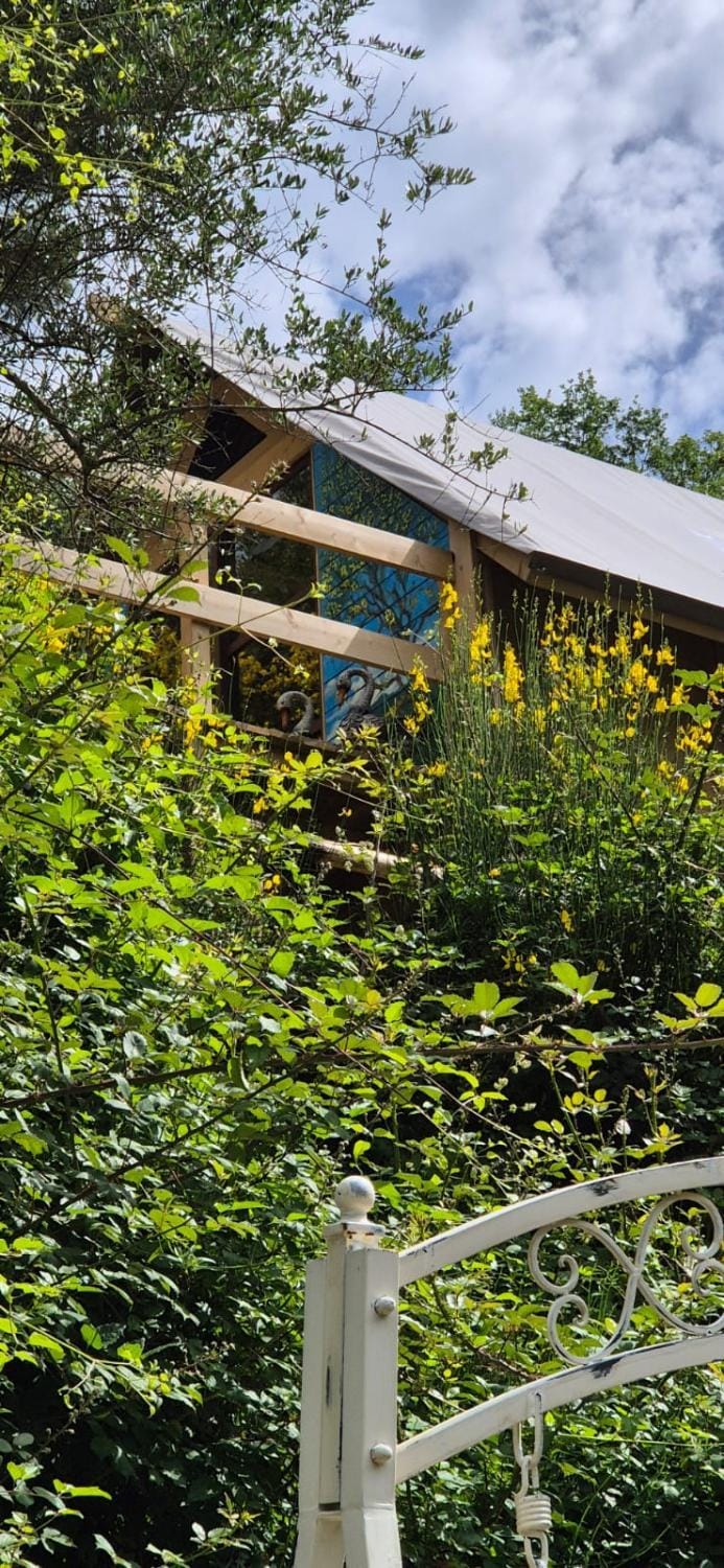 Glamping Castel Dell'Aquila Luxury tent in Province of Massa and Carrara