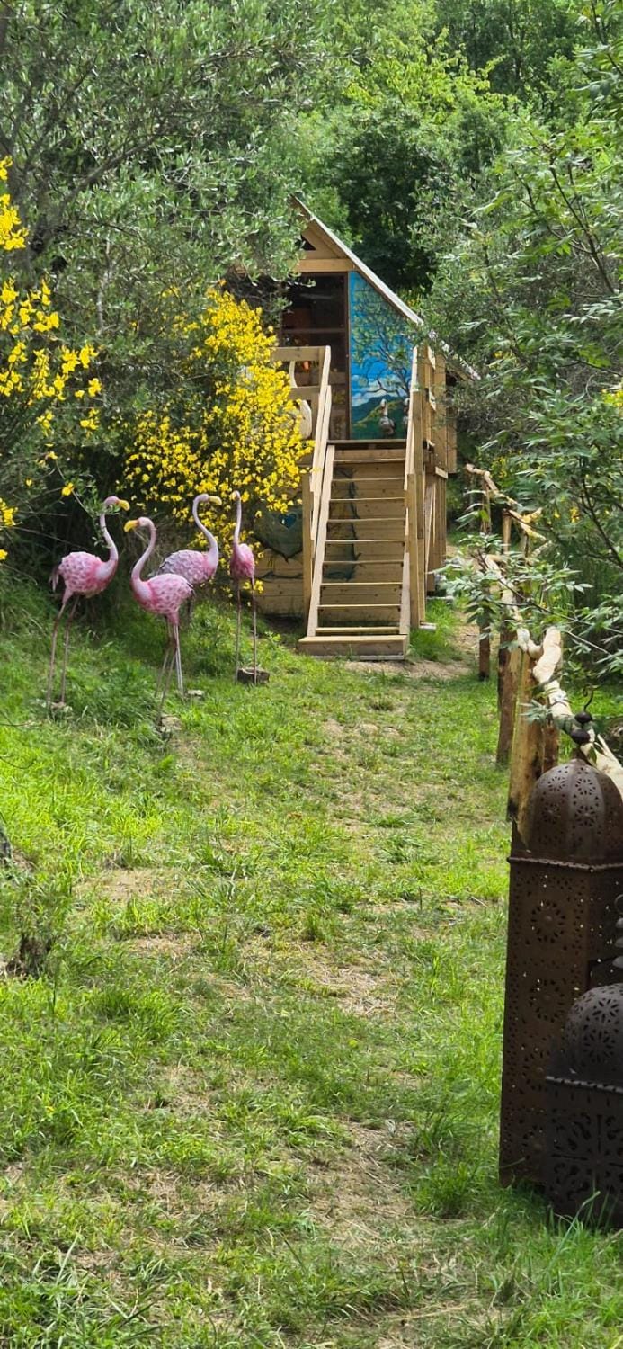 Glamping Castel Dell'Aquila Luxury tent in Province of Massa and Carrara