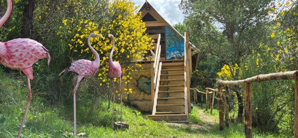 Glamping Castel Dell'Aquila Luxury tent in Province of Massa and Carrara