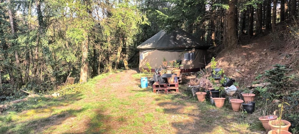amitashram Vacation rental in Dublin