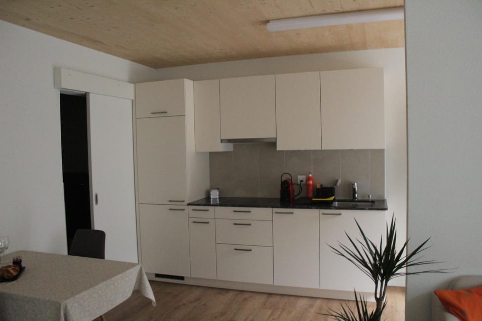 Kitchen or kitchenette, stove, kitchen