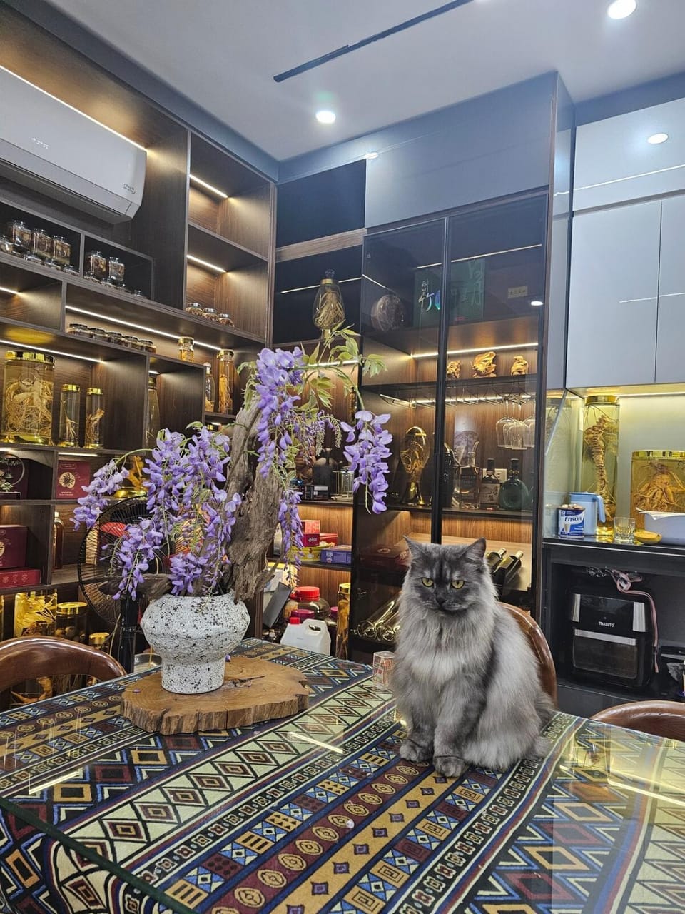 The Dang's Home in Lao Cai Bed and Breakfast in Vietnam