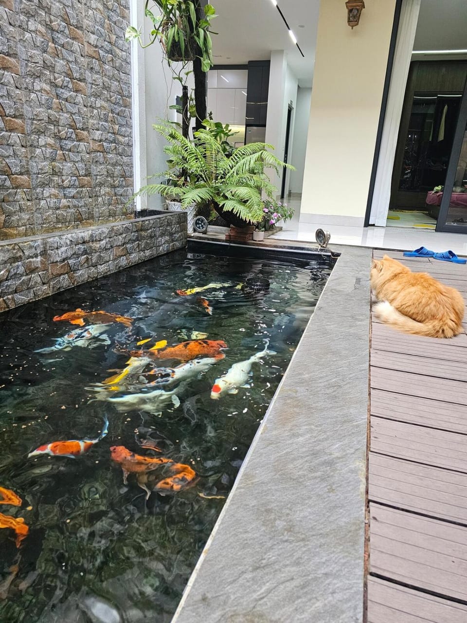 The Dang's Home in Lao Cai Bed and Breakfast in Vietnam