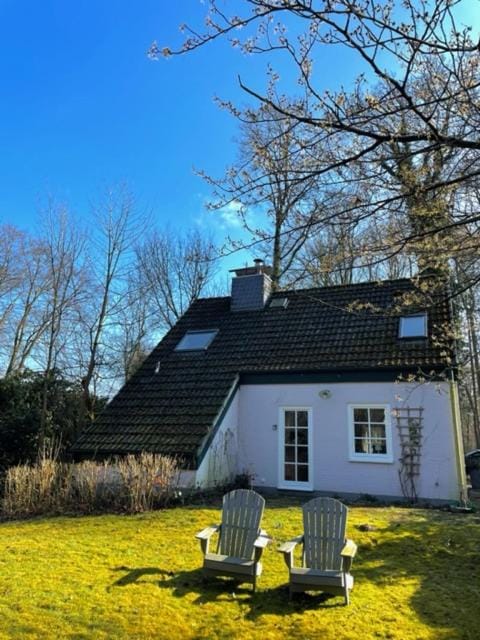 Property building, Garden view