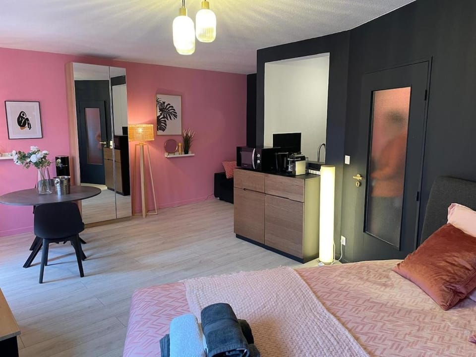 Superb apartment for 4 people, center - auto museum Apartment in Mulhouse