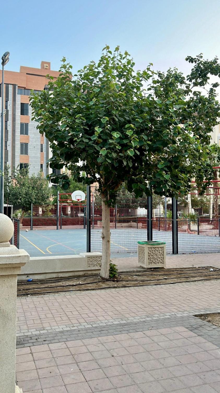 شقة خاصة فاخرة بدرب الحرمين Apartment in Jeddah