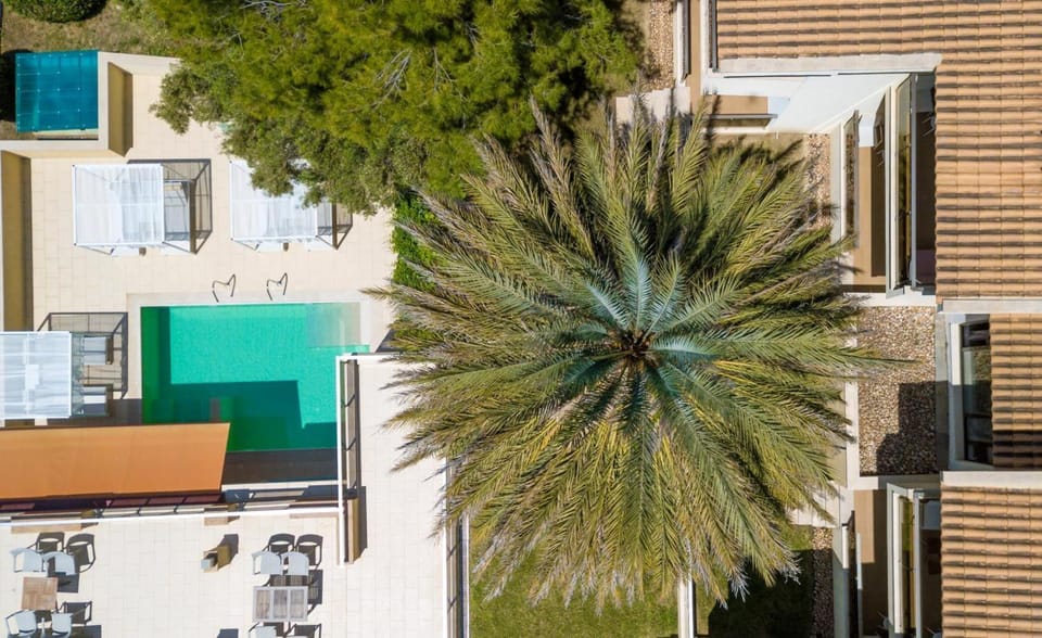 Property building, Bird's eye view