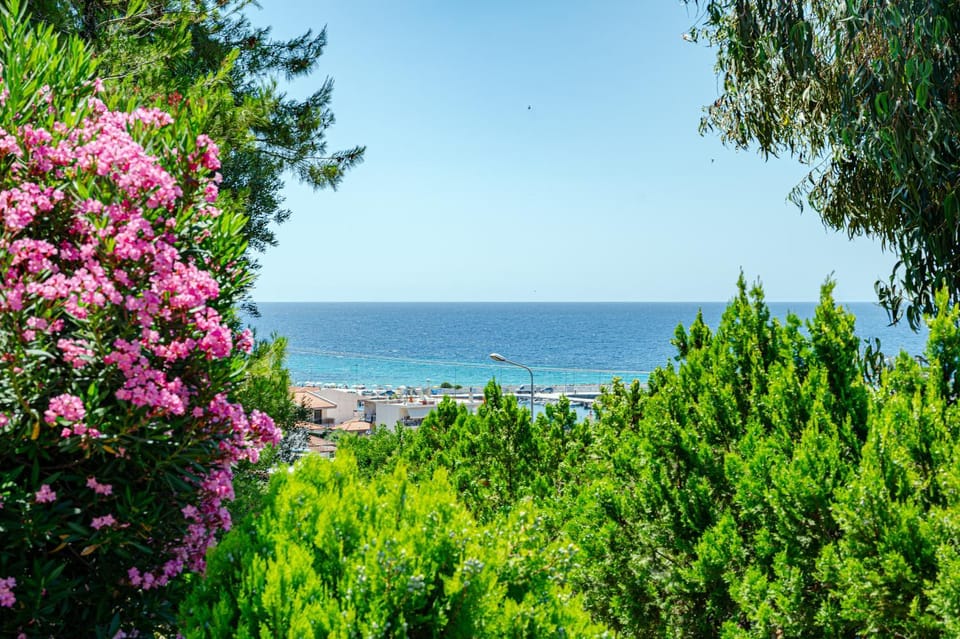 Sea view