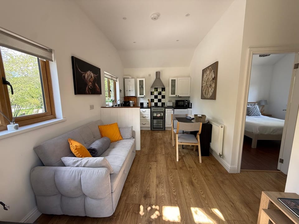 Living room, kitchen
