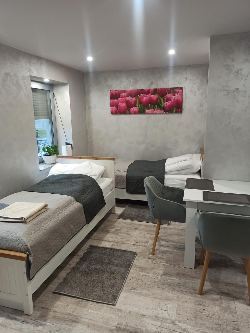 Apartamenty CENTRUM MIASTA Tomaszowa Mazowieckiego Quick Check-in Szybkie zameldowanie Apartment in Poland