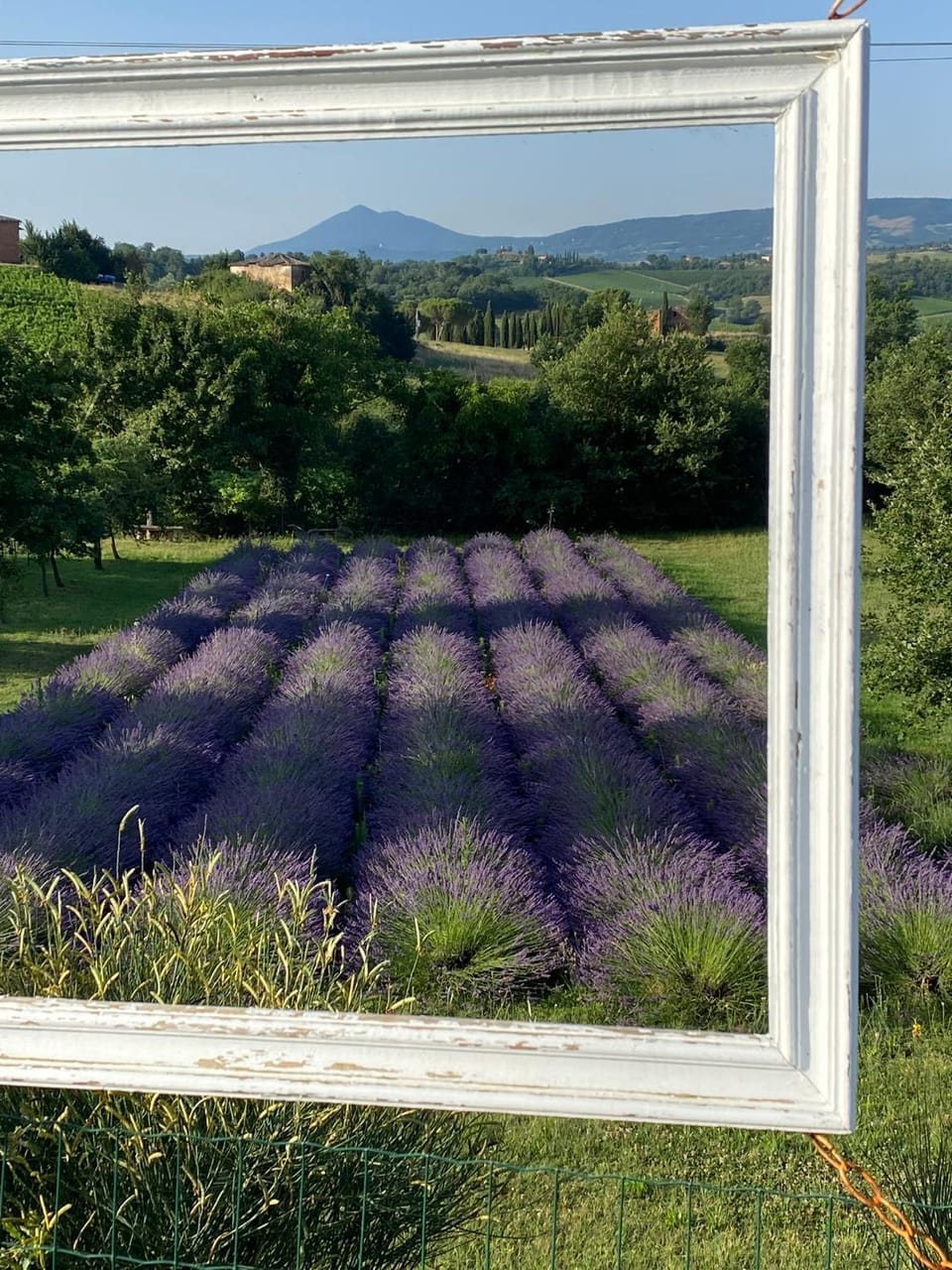 Day, Natural landscape, Garden view