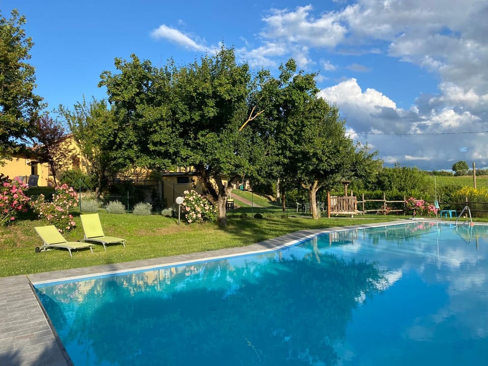 Garden, Garden view, Swimming pool, sunbed
