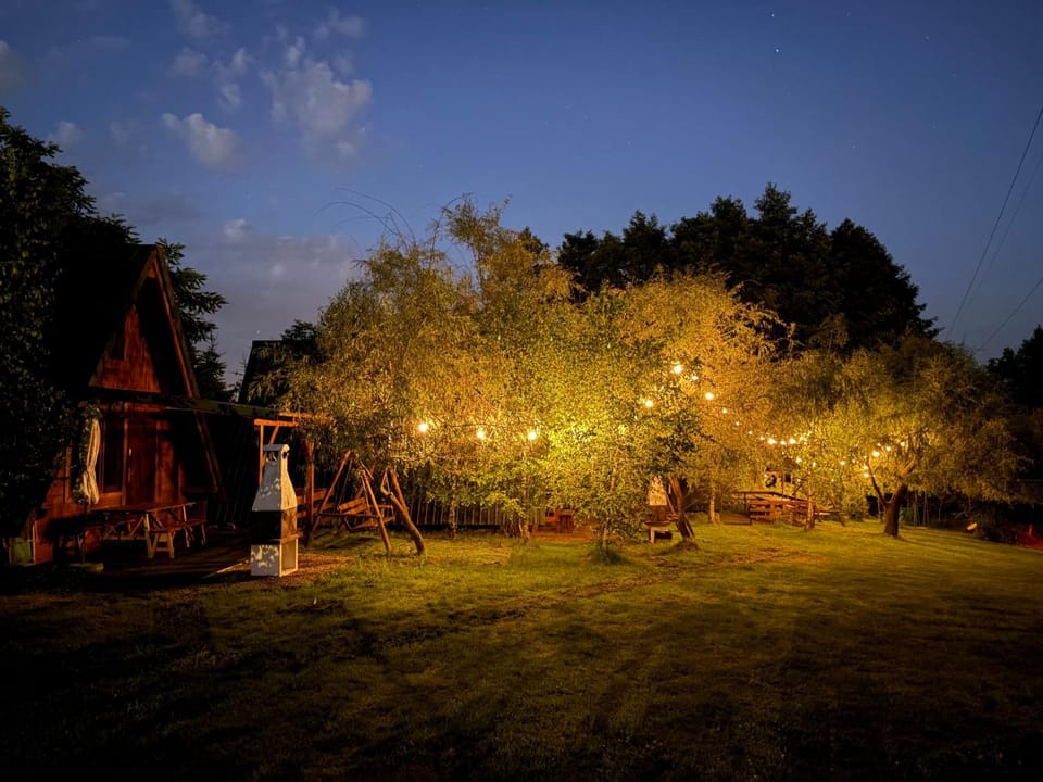 Night, Garden view, Area and facilities