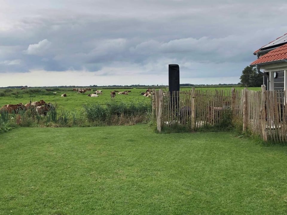 BB Saari House in North Holland (province)