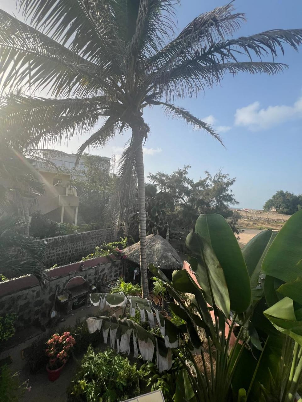 Patio, Garden view